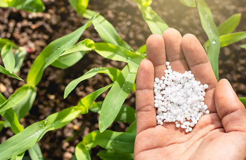 Bester Feed & Grain | Bester Fertilizer